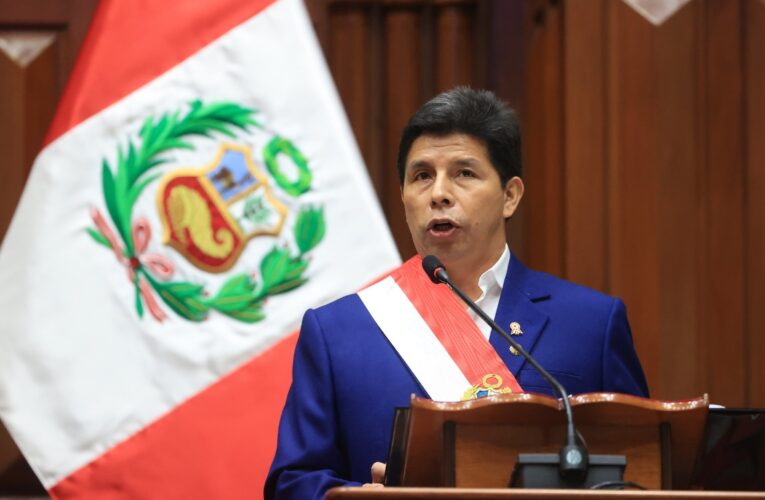 ONU declara arbitraria la detención de Pedro Castillo y pide su liberación