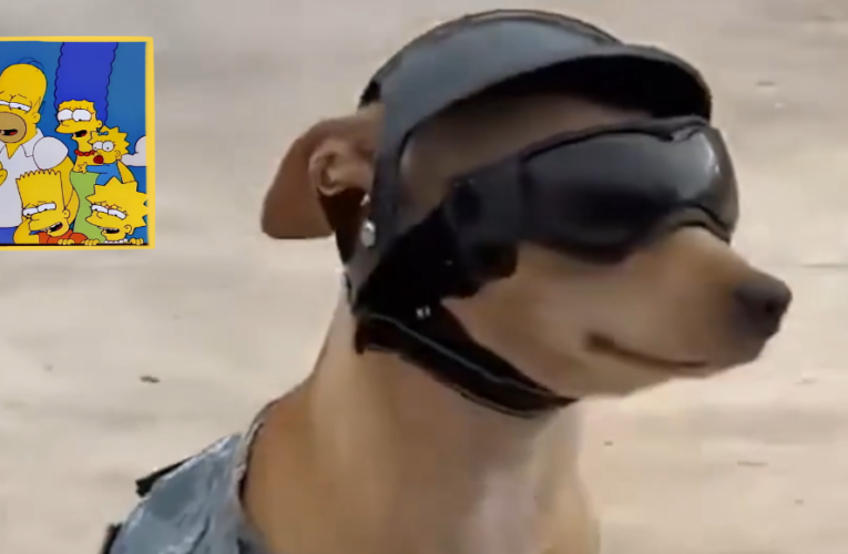 La historia de Comando, el perrito que se unió a la Guardia Nacional