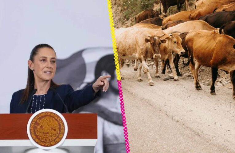 Reanudación de la exportación de ganado entre México y Estados Unidos