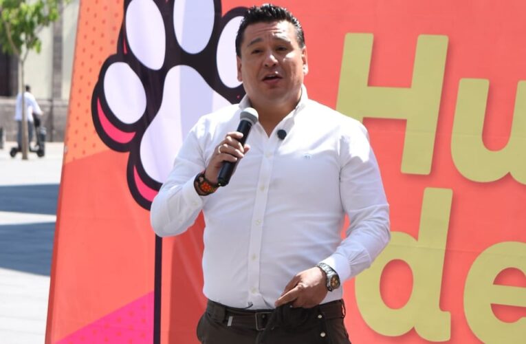 Espacios Públicos en Jalisco Deben Incluir Áreas para Mascotas
