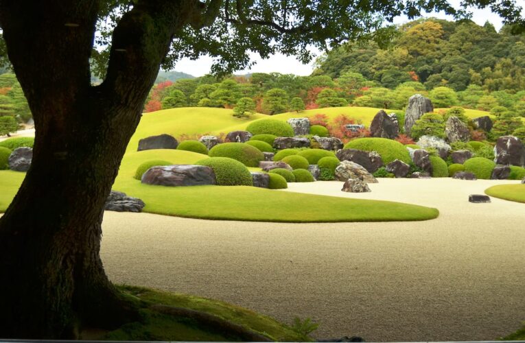 Javier Vives y el jardín japonés como reflejo cultural y artístico